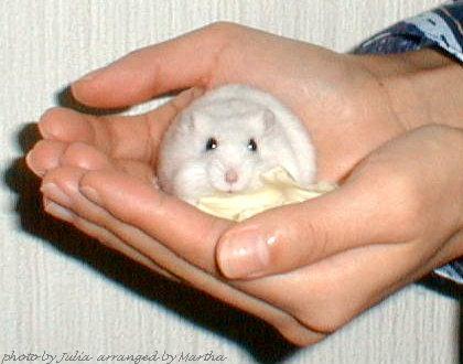 ��̏�ŃL���x�c