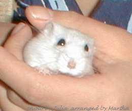 �E�肪�Ղ肿��