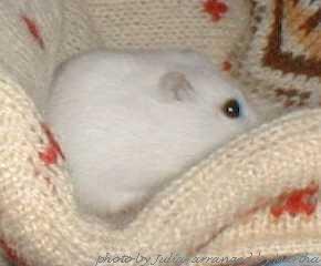 �n�Y�J�V�C�H