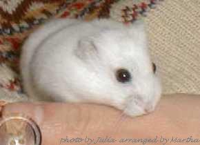 �ǂ��s�������ȁ`