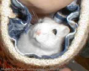 ���グ�Ă��܂�