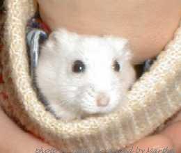 �炾���o����