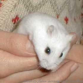 ���֍s�����`��