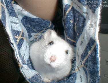 �ɂ������