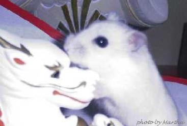 ���̂��ł��Ɂu����v