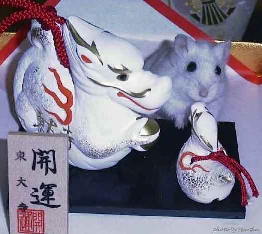 ���x�͂�����