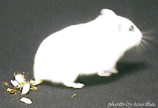 �O����������d�d���ݓ��݁d�d