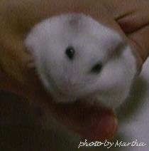 �ɂ����Ă�H