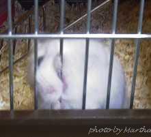 ���ς�炸�������Ă܂�