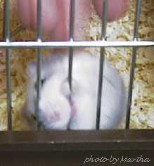 ����Ă��C�t���܂���(^^;