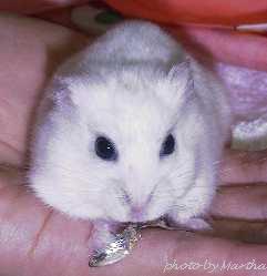 �ɂڂ��D���Ȃ񂾂�ˁ`(^^)